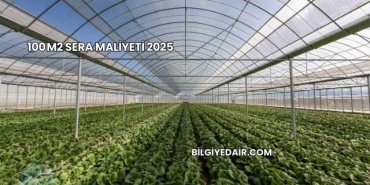 100 m2 Sera Maliyeti 2025